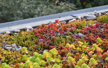 the cost of Slackhead green roof installation